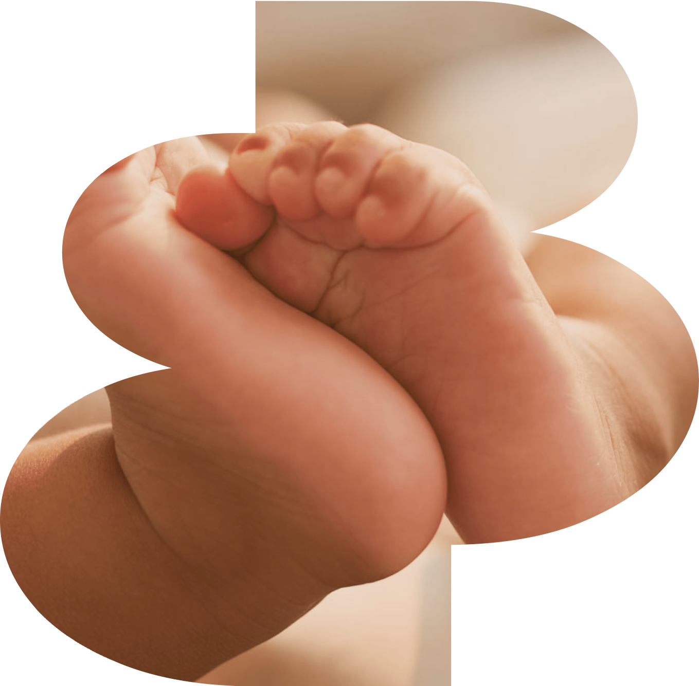 footer
